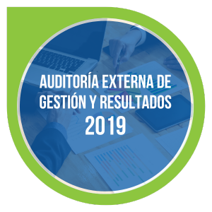 auditoría externa de gestión y resultados 2019