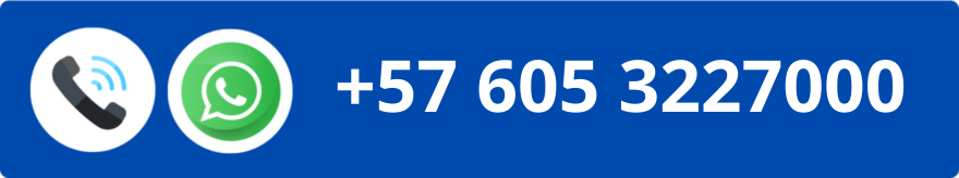 Línea de teléfono y WhatsApp 6053227000